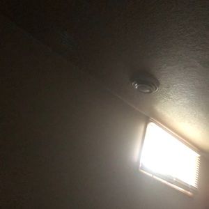 Meet your Posher, Priscilla